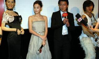 谢霆锋个人蜡像 谢霆锋个人蜡像