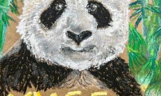 丫丫回国后首露面 丫丫回国后首露面