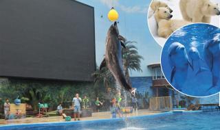 天津极地海洋世界 天津极地海洋世界