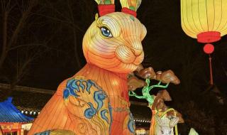 元宵图片真实照片 元宵图片真实照片