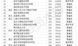 湖北省高职高专排名