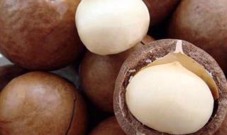 夏威夷果产自哪里