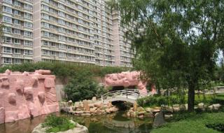 新世界花园 新世界花园