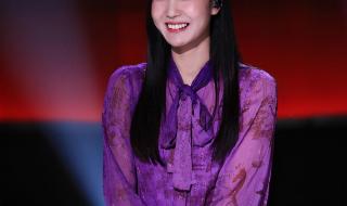 中国好声音人气排行