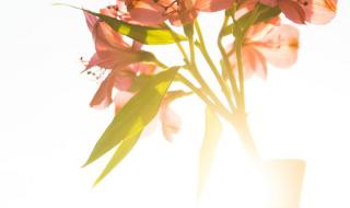 酷我音乐盒官方网站