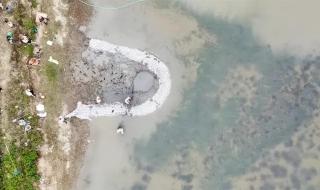 鱼塘现神秘大坑 鱼塘现神秘大坑