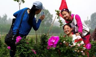 游艇制造厂 游艇制造厂