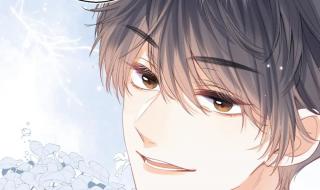 偷偷藏不住第十七集 偷偷藏不住第十七集