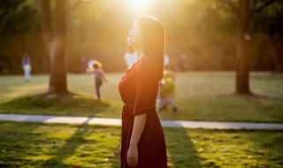 忘不掉你的温柔 忘不掉你的温柔