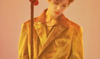 ninepercent演唱会