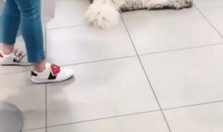 我愿意插曲 我愿意插曲