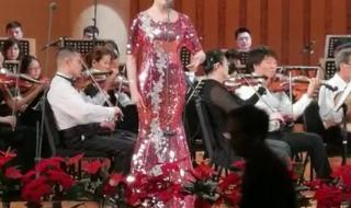 中山演唱会 中山演唱会