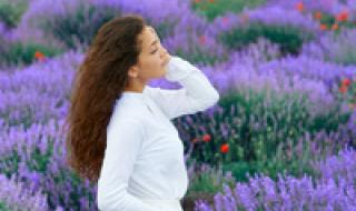薰衣草少女 薰衣草少女