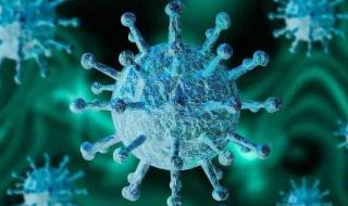 新病毒德尔塔 新病毒德尔塔