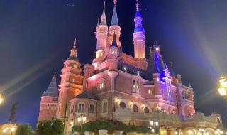 上海迪斯尼项目 上海迪斯尼项目