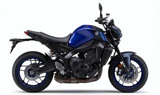 舞动精灵好听的歌 舞动精灵好听的歌