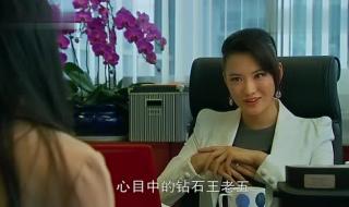 北京爱情故事杨紫曦