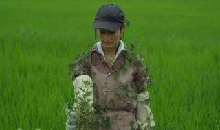 小森生活第一道料理 小森生活第一道料理