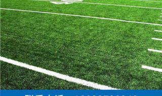 塑料草坪生产厂家