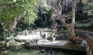 深圳到澳门旅游攻略 深圳到澳门旅游攻略