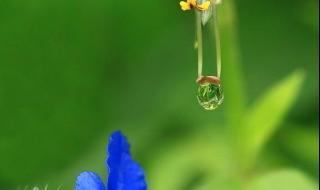 人生就像愤怒的小鸟 人生就像愤怒的小鸟