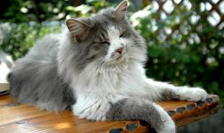 挪威的森林开车6分钟 挪威的森林开车6分钟