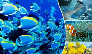 北京太平洋海底世界 北京太平洋海底世界