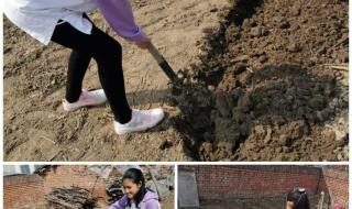 长春市第二实验小学 长春市第二实验小学