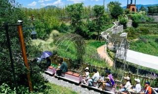 温州乐园营业时间 温州乐园营业时间