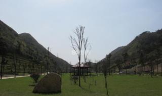 温州乐园营业时间 温州乐园营业时间