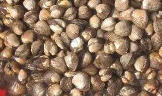 曹妃甸潮汐表查询2020