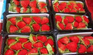 春暖花开的最新地址