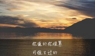 iphone7和iphone7plus