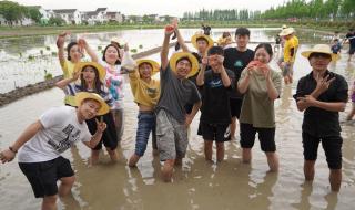 上海印刷高等专科学校 上海印刷高等专科学校