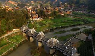 上海东平国家森林公园 上海东平国家森林公园