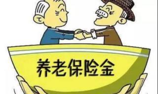 养老保险全国统筹