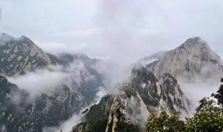 众鸟高飞尽的下一句