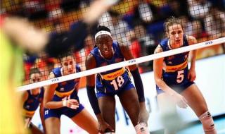 女排世界杯最新消息