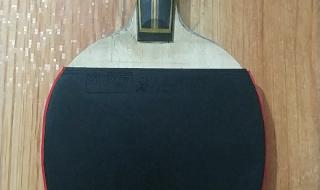 十大乒乓球拍排名 十大乒乓球拍排名