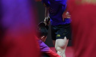 2022布达佩斯世乒赛 2022布达佩斯世乒赛